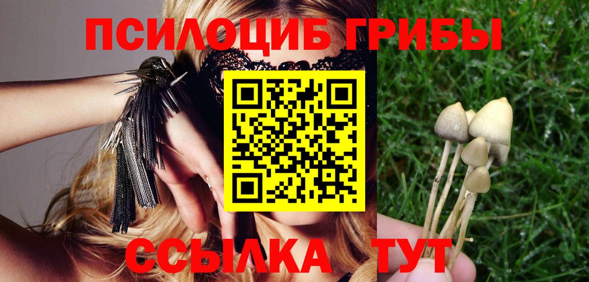 Серов  Псилоцибиновые грибы GOLDEN TEACHER  Вход с VPN  Псилоцибиновые грибы мухоморы 